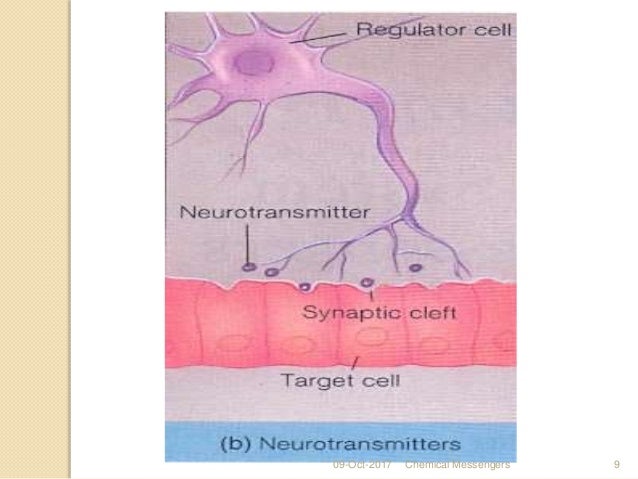 Chemical messengers, Biochemistry of Hormones & their Feedback Mechan…