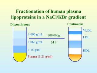  HDL LDL VLDL Chylomicrons PPT