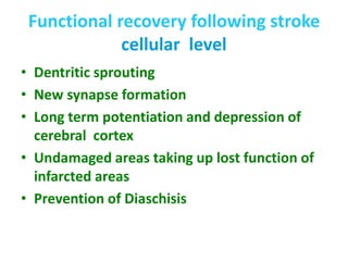 Functional recovery following stroke
cellular level
• Dentritic sprouting
• New synapse formation
• Long term potentiation and depression of
cerebral cortex
• Undamaged areas taking up lost function of
infarcted areas
• Prevention of Diaschisis
 