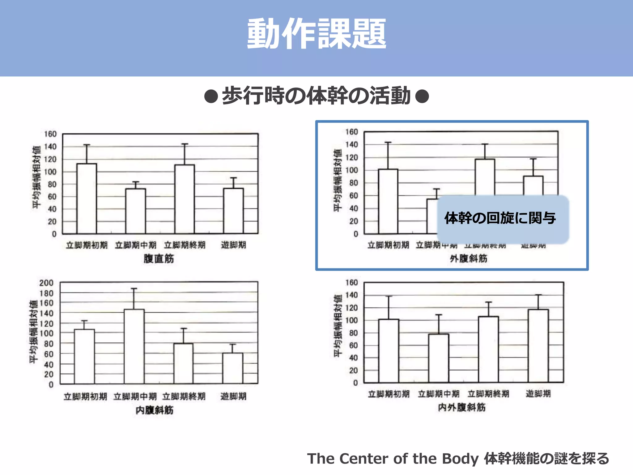 ●歩行時の体幹の活動●
体幹の回旋に関与
The Center of the Body 体幹機能の謎を探る
動作課題
 
