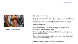 Slika 3. Hrđanje željeza
 Željezo je tvar sive boje.
 Stajanjem na zraku ili u vodi željezo poprimi crvenosmeđu boju.
 Nastaje nova tvar crvenosmeđe boje koju nazivamo hrđom.
PRETPOSTAVKA:
Da bi nastala nova tvar (hrđa) nužno je da željezo dođe
u kontakt s nekom drugom tvari.
U pitanju nije više jedna tvar, već dvije ili više tvari koje su u
međusobnom kontaktu.
Taj međusobni kontakt koji jedna tvar može ostvariti s drugom
nazivamo REAKTIVNOST tvari.
REAKTIVNOST tvari je KEMIJSKO svojstvo tvari.
 