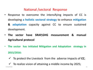 Presentation: The Low Emissions Livestock Workshop