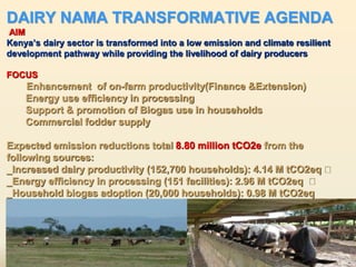 Ambitions and challenges regarding low emissions livestock sector in Kenya