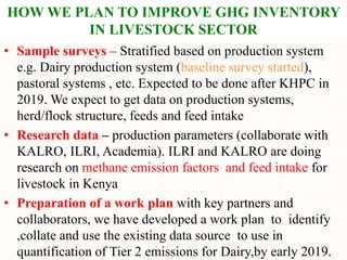 Ambitions and challenges regarding low emissions livestock sector in Kenya