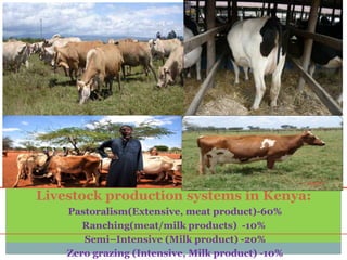 Ambitions and challenges regarding low emissions livestock sector in Kenya