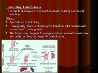 Secondary TuberculosisSecondary Tuberculosis
It is due to reactivation or reinfection of old, possibly subclinicalIt is due to reactivation or reinfection of old, possibly subclinical
infection.infection.
Site -Site -
 Apex of one or both lung,Apex of one or both lung,
 Histologically, there is chronic granulomatous inflammation withHistologically, there is chronic granulomatous inflammation with
caseous necrosis is present.caseous necrosis is present.
 The lesion may progress to a large confluent area of consolidation,The lesion may progress to a large confluent area of consolidation,
ultimately resulting into large fibrocalcific scar.ultimately resulting into large fibrocalcific scar.
1313
 