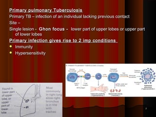 Primary pulmonary TuberculosisPrimary pulmonary Tuberculosis
Primary TB – infection of an individual lacking previous contactPrimary TB – infection of an individual lacking previous contact
Site –Site –
Single lesion -Single lesion - Ghon focus -Ghon focus - lower part of upper lobes or upper partlower part of upper lobes or upper part
of lower lobesof lower lobes
Primary infection gives rise to 2 imp conditionsPrimary infection gives rise to 2 imp conditions
 ImmunityImmunity
 HypersensitivityHypersensitivity
77
 