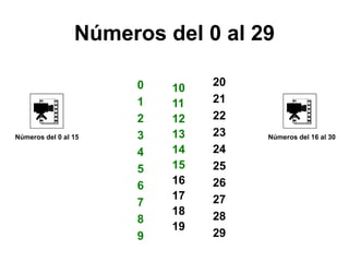 Números del 0 al 29
10
11
12
13
14
15
16
17
18
19
20
21
22
23
24
25
26
27
28
29
0
1
2
3
4
5
6
7
8
9
Números del 0 al 15 Números del 16 al 30
 