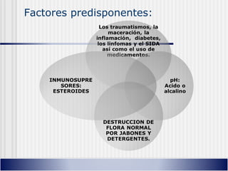 Factores predisponentes:
 