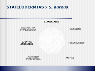 STAFILODERMIAS x S. aureus
 