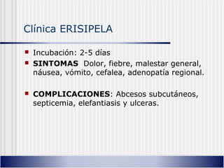 Clínica ERISIPELA
 Incubación: 2-5 días
 SINTOMAS Dolor, fiebre, malestar general,
náusea, vómito, cefalea, adenopatía regional.
 COMPLICACIONES: Abcesos subcutáneos,
septicemia, elefantiasis y ulceras.
 