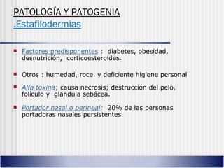 PATOLOGÍA Y PATOGENIA
.Estafilodermias
 Factores predisponentes : diabetes, obesidad,
desnutrición, corticoesteroides.
 Otros : humedad, roce y deficiente higiene personal
 Alfa toxina; causa necrosis; destrucción del pelo,
folículo y glándula sebácea.
 Portador nasal o perineal: 20% de las personas
portadoras nasales persistentes.
 