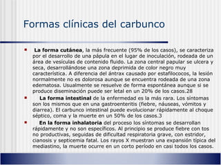 Formas clínicas del carbunco
 La forma cutánea, la más frecuente (95% de los casos), se caracteriza
por el desarrollo de una pápula en el lugar de inoculación, rodeada de un
área de vesículas de contenido fluido. La zona central papular se ulcera y
seca, desarrollándose una zona deprimida de color negro muy
característica. A diferencia del ántrax causado por estafilococos, la lesión
normalmente no es dolorosa aunque se encuentra rodeada de una zona
edematosa. Usualmente se resuelve de forma espontánea aunque si se
produce diseminación puede ser letal en un 20% de los casos.28​ ​
 La forma intestinal de la enfermedad es la más rara. Los síntomas
son los mismos que en una gastroenteritis (fiebre, náuseas, vómitos y
diarrea). El carbunco intestinal puede evolucionar rápidamente al choque
séptico, coma y la muerte en un 50% de los casos.3​
 En la forma inhalatoria del proceso los síntomas se desarrollan
rápidamente y no son específicos. Al principio se produce fiebre con tos
no productivas, seguidas de dificultad respiratoria grave, con estridor,
cianosis y septicemia fatal. Los rayos X muestran una expansión típica del
mediastino, la muerte ocurre en un corto período en casi todos los casos.
 