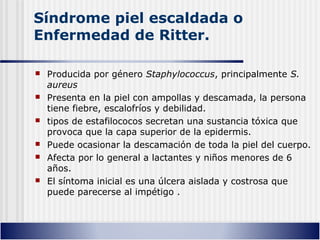Síndrome piel escaldada o
Enfermedad de Ritter.
 Producida por género Staphylococcus, principalmente S.
aureus
 Presenta en la piel con ampollas y descamada, la persona
tiene fiebre, escalofríos y debilidad.
 tipos de estafilococos secretan una sustancia tóxica que
provoca que la capa superior de la epidermis.
 Puede ocasionar la descamación de toda la piel del cuerpo.
 Afecta por lo general a lactantes y niños menores de 6
años.
 El síntoma inicial es una úlcera aislada y costrosa que
puede parecerse al impétigo .
 