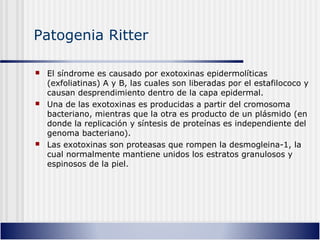 Patogenia Ritter
 El síndrome es causado por exotoxinas epidermolíticas
(exfoliatinas) A y B, las cuales son liberadas por el estafilococo y
causan desprendimiento dentro de la capa epidermal.
 Una de las exotoxinas es producidas a partir del cromosoma
bacteriano, mientras que la otra es producto de un plásmido (en
donde la replicación y síntesis de proteínas es independiente del
genoma bacteriano).
 Las exotoxinas son proteasas que rompen la desmogleina-1, la
cual normalmente mantiene unidos los estratos granulosos y
espinosos de la piel.
 
