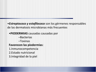•Estreptococo y estafilococo son los gérmenes responsables
de las dermatosis microbianas más frecuentes
•PIODERMIAS causadas causadas por
–Bacterias
–Toxinas
Favorecen las piodermias:
1.Inmunocompetencia
2.Estado nutricional
3.Integridad de la piel
 