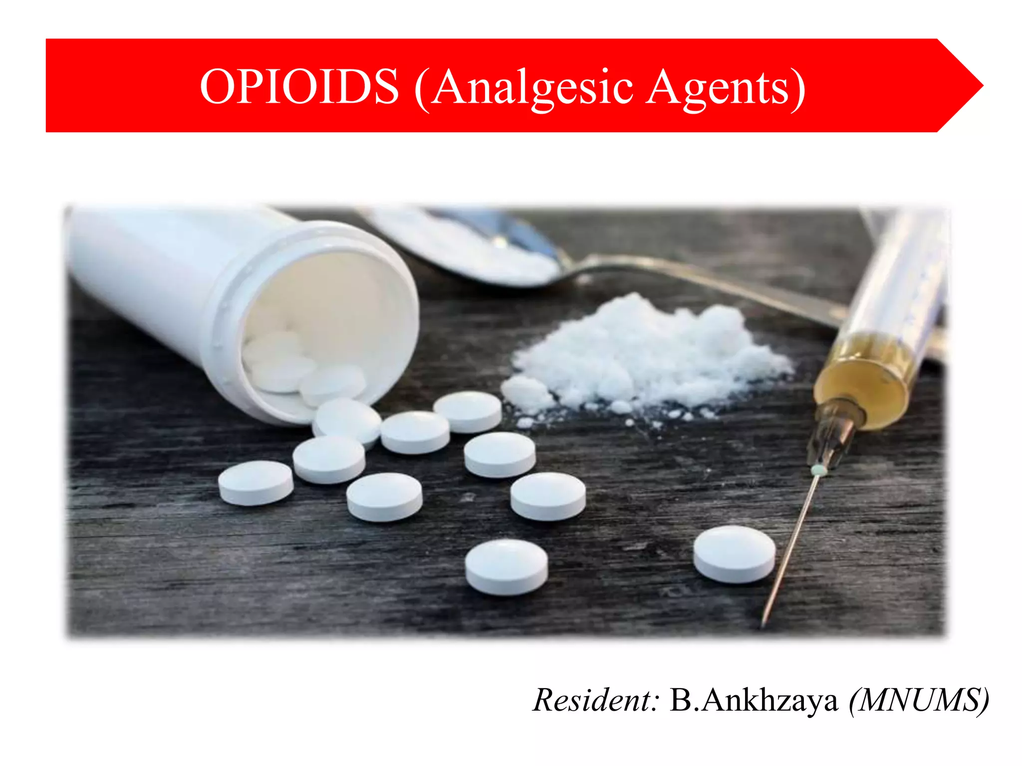 Opoids | PPT