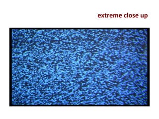 extreme close up
 