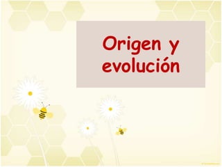 Origen y
evolución
 