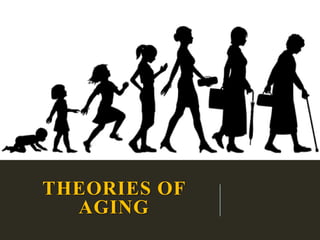 THEORIES OF
AGING
 