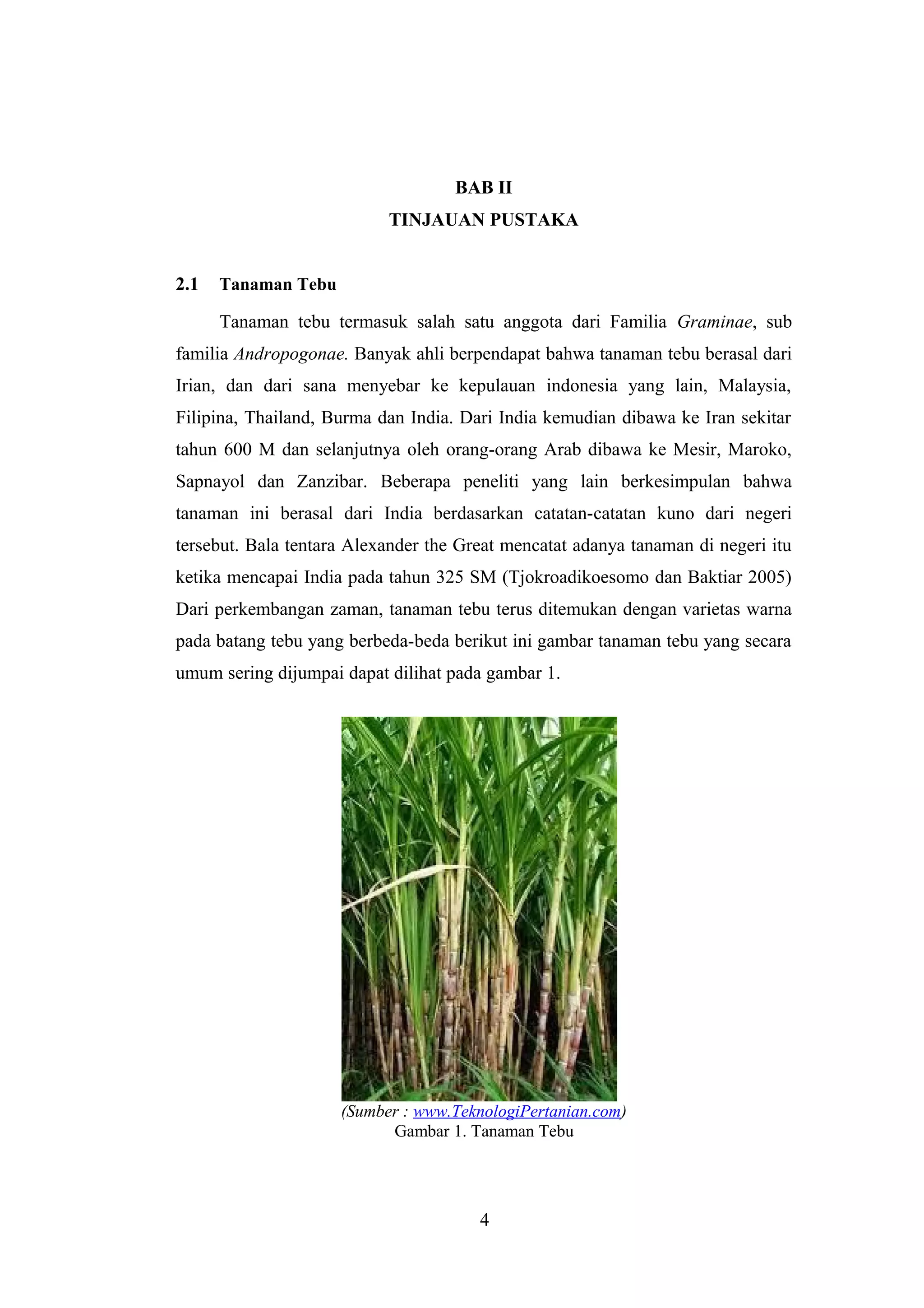 3. kandungan tebu (teori) | DOC