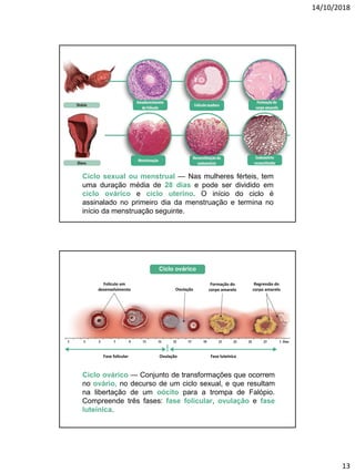 14/10/2018
13
Ciclo sexual ou menstrual — Nas mulheres férteis, tem
uma duração média de 28 dias e pode ser dividido em
ciclo ovárico e ciclo uterino. O início do ciclo é
assinalado no primeiro dia da menstruação e termina no
início da menstruação seguinte.
Ciclo ovárico — Conjunto de transformações que ocorrem
no ovário, no decurso de um ciclo sexual, e que resultam
na libertação de um oócito para a trompa de Falópio.
Compreende três fases: fase folicular, ovulação e fase
luteínica.
Folículo em
desenvolvimento Ovulação
Formação do
corpo amarelo
Regressão do
corpo amarelo
Fase folicular Ovulação Fase luteínica
Ciclo ovárico
Dias
 