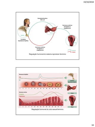 14/10/2018
18
Regulação hormonal do sistema reprodutor feminino
Gonadoestimulinas
FSH e LH
Complexo
hipotálamo-hipófise
Hormonas ováricas
Estrogénios e
progesterona
Hormonas ováricas
Estrogénios e
progesterona Estímulo
Inibição
Ovário
Hipófise
Útero
Regulação hormonal do ciclo sexual feminino
 