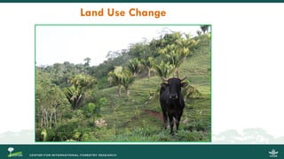 Migration and Forests: People in Motion – Landscapes in Transition