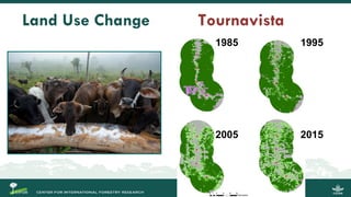 Migration and Forests: People in Motion – Landscapes in Transition