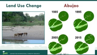 Migration and Forests: People in Motion – Landscapes in Transition