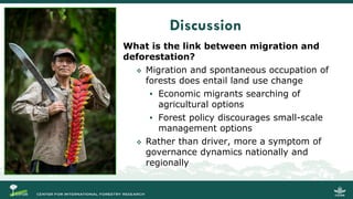 Migration and Forests: People in Motion – Landscapes in Transition
