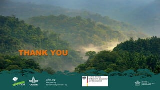 Migration and Forests: People in Motion – Landscapes in Transition