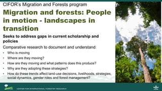 Migration and Forests: People in Motion – Landscapes in Transition