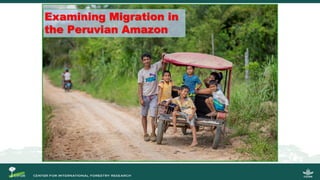Migration and Forests: People in Motion – Landscapes in Transition