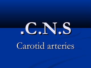 C.N.SC.N.S..
Carotid arteriesCarotid arteries
 