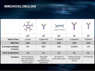 IMMUNOGLOBULINS
 