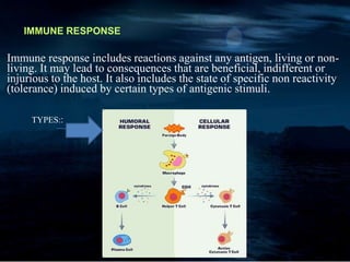 IMMUNE RESPONSE
Immune response includes reactions against any antigen, living or non-
living. It may lead to consequences that are beneficial, indifferent or
injurious to the host. It also includes the state of specific non reactivity
(tolerance) induced by certain types of antigenic stimuli.
TYPES::
 