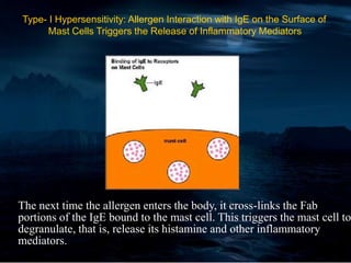 Type- I Hypersensitivity: Allergen Interaction with IgE on the Surface of
Mast Cells Triggers the Release of Inflammatory Mediators
The next time the allergen enters the body, it cross-links the Fab
portions of the IgE bound to the mast cell. This triggers the mast cell to
degranulate, that is, release its histamine and other inflammatory
mediators.
 