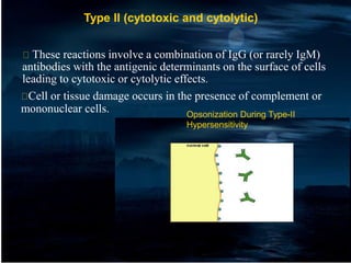 Type II (cytotoxic and cytolytic)
These reactions involve a combination of IgG (or rarely IgM)
antibodies with the antigenic determinants on the surface of cells
leading to cytotoxic or cytolytic effects.
Cell or tissue damage occurs in the presence of complement or
mononuclear cells. Opsonization During Type-II
Hypersensitivity
 