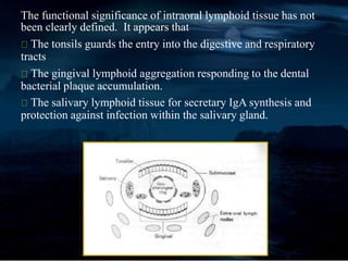 The functional significance of intraoral lymphoid tissue has not
been clearly defined. It appears that
The tonsils guards the entry into the digestive and respiratory
tracts
The gingival lymphoid aggregation responding to the dental
bacterial plaque accumulation.
The salivary lymphoid tissue for secretary IgA synthesis and
protection against infection within the salivary gland.
 
