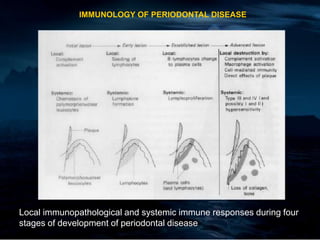 IMMUNOLOGY OF PERIODONTAL DISEASE
Local immunopathological and systemic immune responses during four
stages of development of periodontal disease
 