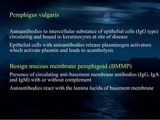 Pemphigus vulgaris
Autoantibodies to intercellular substance of epithelial cells (IgG type)
circulating and bound to keratinocytes at site of disease
Epithelial cells with autoantibodies release plasminogen activators
which activate plasmin and leads to acantholysis
Benign mucous membrane pemphigoid (BMMP)
Presence of circulating anti-basement membrane antibodies (IgG, IgA
and IgM) with or without complement
Autoantibodies react with the lamina lucida of basement membrane
 