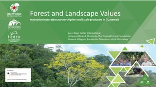 Forest and Landscape Values
Innovative restoration partnership for small scale producers in Guatemala
Larry Paul, Heifer International
Anique Hillbrand, OroVerde-The Tropical Forest Foundation
Ximena Villagrán, Fundación Defensores de la Naturaleza
 