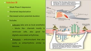  Subclass IB
 Weak Phase 0 depression
 Shortened depolarization
 Decreased action potential duration
 Includes
Lidocane (also acts as local anesthetic)
– blocks Na+ channels mostly in
ventricular cells, also good for
digitalis-associated arrhythmias
Phenytoin – anticonvulsant that also
works as antiarrhythmic similar to
lidocane
 