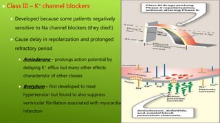 Class III – K+ channel blockers
 Developed because some patients negatively
sensitive to Na channel blockers (they died!)
 Cause delay in repolarization and prolonged
refractory period
 Amiodarone – prolongs action potential by
delaying K+ efflux but many other effects
characteristic of other classes
 Bretylium – first developed to treat
hypertension but found to also suppress
ventricular fibrillation associated with myocardial
infarction
 