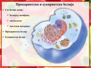 Прокариотска и еукариотска ћелија
 Све ћелије имају:
 ћелијску мембрану
 цитоплазму
 наследни материјал
 Прокариотске ћелије
 Еукариотске ћелије
 
