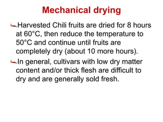 Mechanical drying
Harvested Chili fruits are dried for 8 hours
at 60°C, then reduce the temperature to
50°C and continue until fruits are
completely dry (about 10 more hours).
In general, cultivars with low dry matter
content and/or thick flesh are difficult to
dry and are generally sold fresh.
 