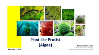 Plant-like Protist
(Algae) Fasama Hilton Kollie
Lecturer, Department of Biology
Mother Patern College of Health SciencesFebruary 7, 2019
 