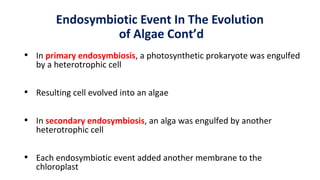Endosymbiotic Event In The Evolution
of Algae Cont’d
• In primary endosymbiosis, a photosynthetic prokaryote was engulfed
...