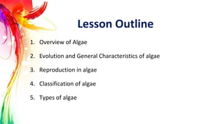 Lesson Outline
1. Overview of Algae
2. Evolution and General Characteristics of algae
3. Reproduction in algae
4. Classifi...